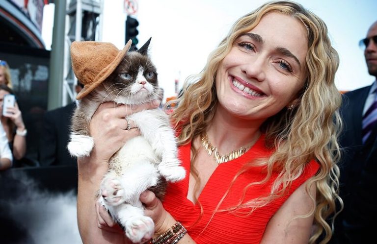 Ce chat nain a fait de sa maîtresse une multi-millionnaire