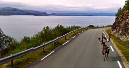 30 photos inattendues sur Google Street View Photos insolites et inattendues sur Google Street View