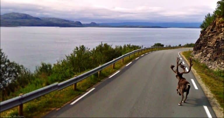 30 photos inattendues sur Google Street View
