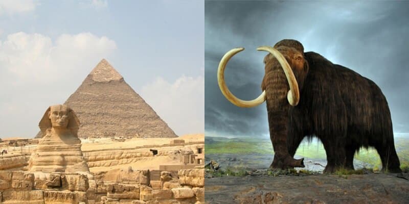 Pyramides Egypte, Mammouths