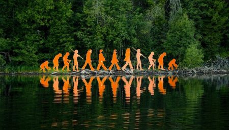 6 idées reçues et mythes sur l’évolution Evolution, mythes et idées reçues