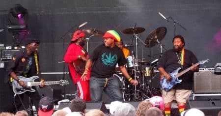 Artistes reggae et dancehall 2015