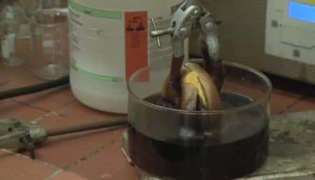 Vidéo: ce qui arrive à un cheeseburger plongé dans de l’acide chlorhydrique Cheeseburger, Macdonald, acide chlorhydrique