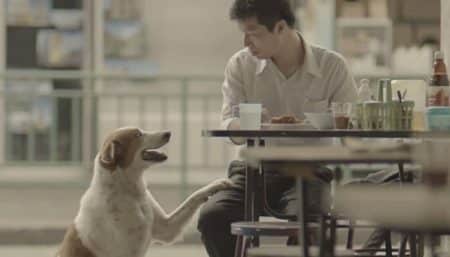Pourquoi les publicités thaïlandaises font-elles pleurer ? publicités thailandaises, pleurer