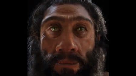 Vidéo: L’évolution du visage humain au cours des 6 dernières millions années Vidéo de l'évolution du visage de l'homme au cours des 6 dernières millions d'années