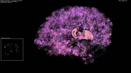 Le cerveau humain serait capable de stocker 1 pétaoctet de données ! cerveau, stock, mémoire, petaoctet