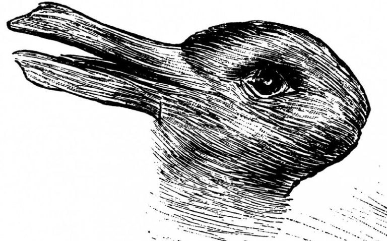 Canard ou lapin : que voyez-vous sur cette illusion d&rsquo;optique ?