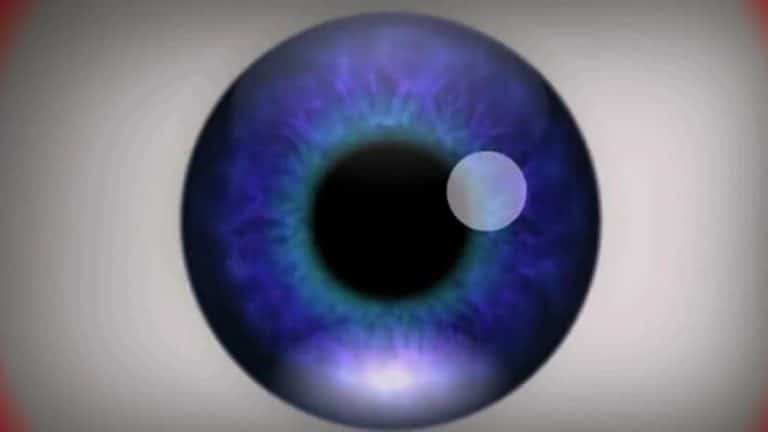 Illusion d’optique : tentez l’expérience du « mouvement après-effet »