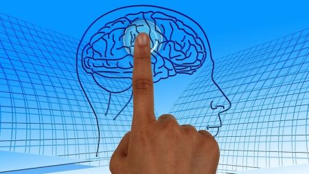 Pour pouvoir apprendre, le cerveau doit oublier Cerveau, oubli