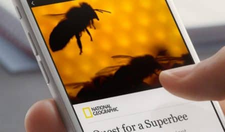 Facebook, plugin Wordpress, Instant Article