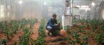 Seul sur Mars, Matt Damon
