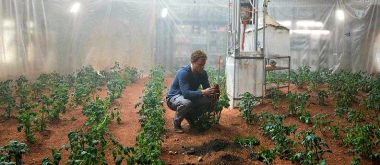 Des scientifiques ont fait pousser 10 cultures sur le sol de Mars