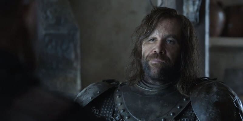 Rory McCann, The Hound