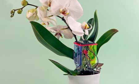 Thirsty Plant Kit, capteur d'humidité