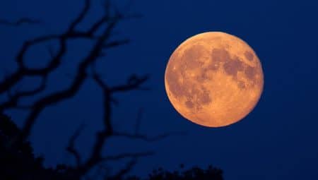 Photographier la super Lune