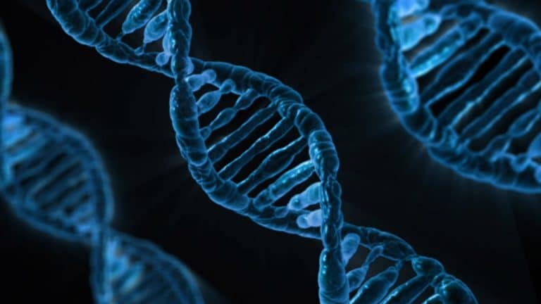 Un « crayon génomique » pour venir à bout de certaines maladies ?