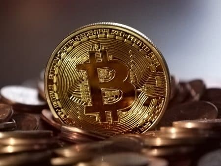 Selon une théorie, Elon Musk pourrait être Satoshi Nakamoto, le mystérieux inventeur du Bitcoin elon musk