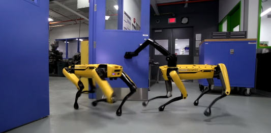 robot