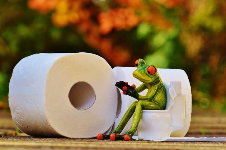 Elle paie 7 000 dollars de frais de port pour du papier toilette sur Amazon