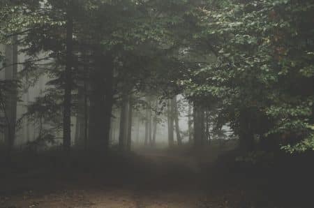 Une date de sortie pour Blair Witch, le jeu vidéo horrifique Free-Photos - Pixabay