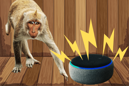 Insolite : comment une jeune indienne a utilisé Amazon Alexa pour repousser une attaque de singe Insolite : comment une jeune indienne a utilisé Amazon Alexa pour repousser une attaque de singe