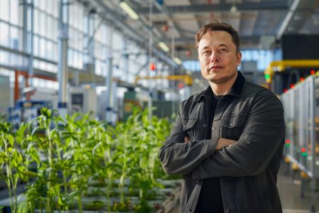 Elon Musk et les squatters involontaires : comment un prêt de 6,7 millions de dollars a mal tourné