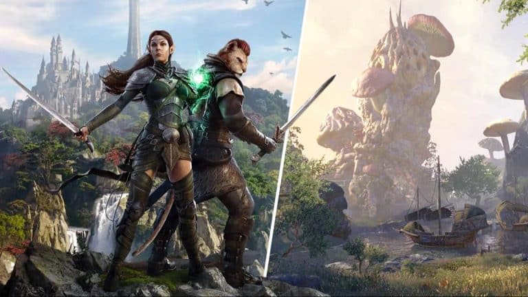 Ce retard sidérant de The Elder Scrolls VI pourrait battre le record de Duke Nukem Forever avec 13 ans d&rsquo;attente