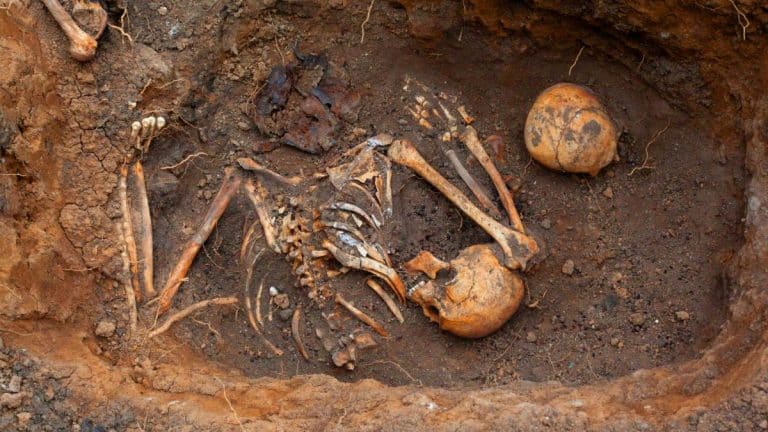 Ces fossiles humains découverts au Japon révèlent une surprise : ce que pensaient les spécialistes n&rsquo;est pas ce qu&rsquo;on croyait