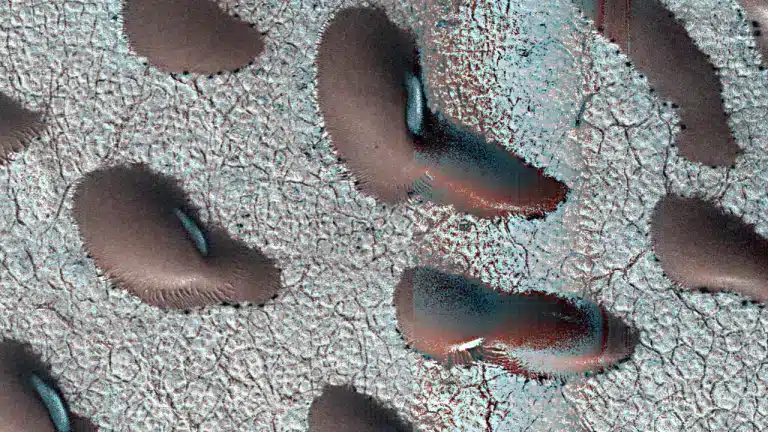 Ces mystérieux « haricots géants » repérés sur Mars par la NASA intriguent les scientifiques : une découverte qui pourrait tout changer