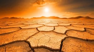 « 70°C sur Terre » : ce scientifique prédit un avenir brûlant qui menace notre survie