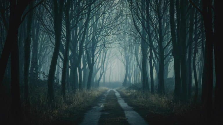 Cette scène de The Walking Dead, plus choquante qu&rsquo;un cauchemar éveillé, redéfinit l&rsquo;horreur télévisuelle comme jamais auparavant