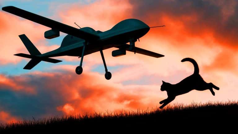 Fascinante alliance : ces drones militaires révolutionnaires adoptent l&rsquo;agilité féline pour dominer le ciel