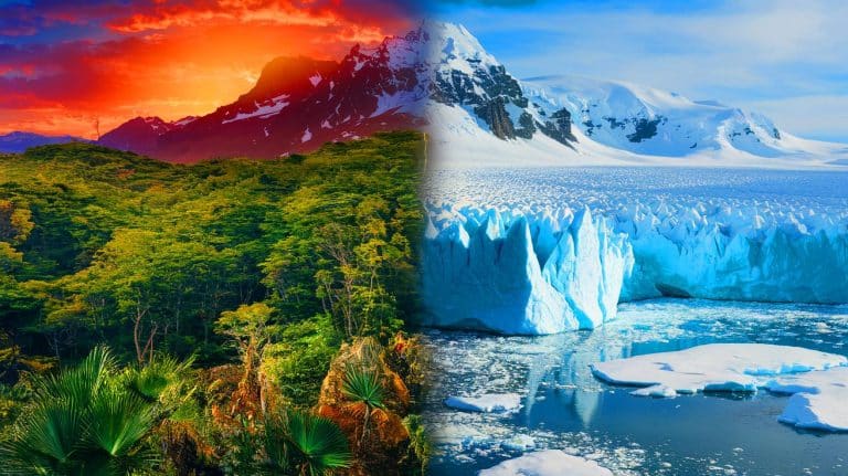 « L’Antarctique cachait cette jungle tropicale » : les scientifiques dévoilent le basculement climatique qui a transformé un paradis vert en désert de glace impitoyable