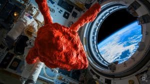 « Nous faisons trembler l'univers » : des matériaux robotiques ultra-réalistes se déploient en apesanteur à bord de l'ISS, un saut vers l'inconnu fascinant