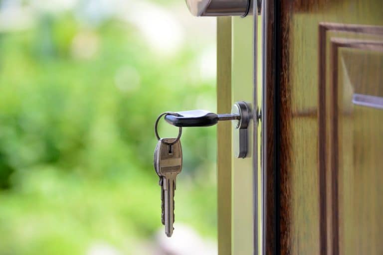 Assurance habitation : conseils pratiques pour choisir en toute sérénité avec les outils en ligne