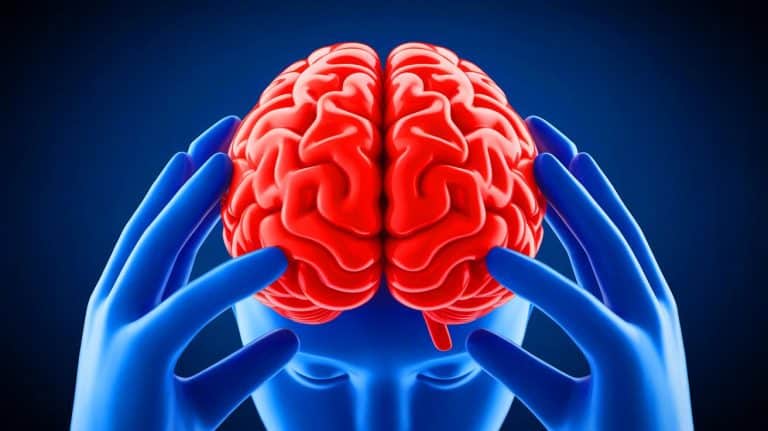 Ces scientifiques dévoilent une vérité terrifiante : réduire drastiquement la viande rouge pour sauver ce cerveau en danger selon des experts chevronnés