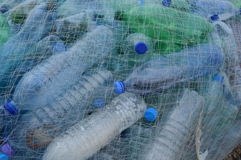 « Du plastique aux trésors » : cette innovation transforme les déchets PET en matériaux rares aux usages industriels stratégiques