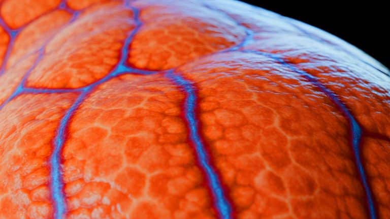 « Les lignes de Blaschko révèlent tout » : ce motif invisible sur votre peau pourrait trahir vos maladies et votre longévité