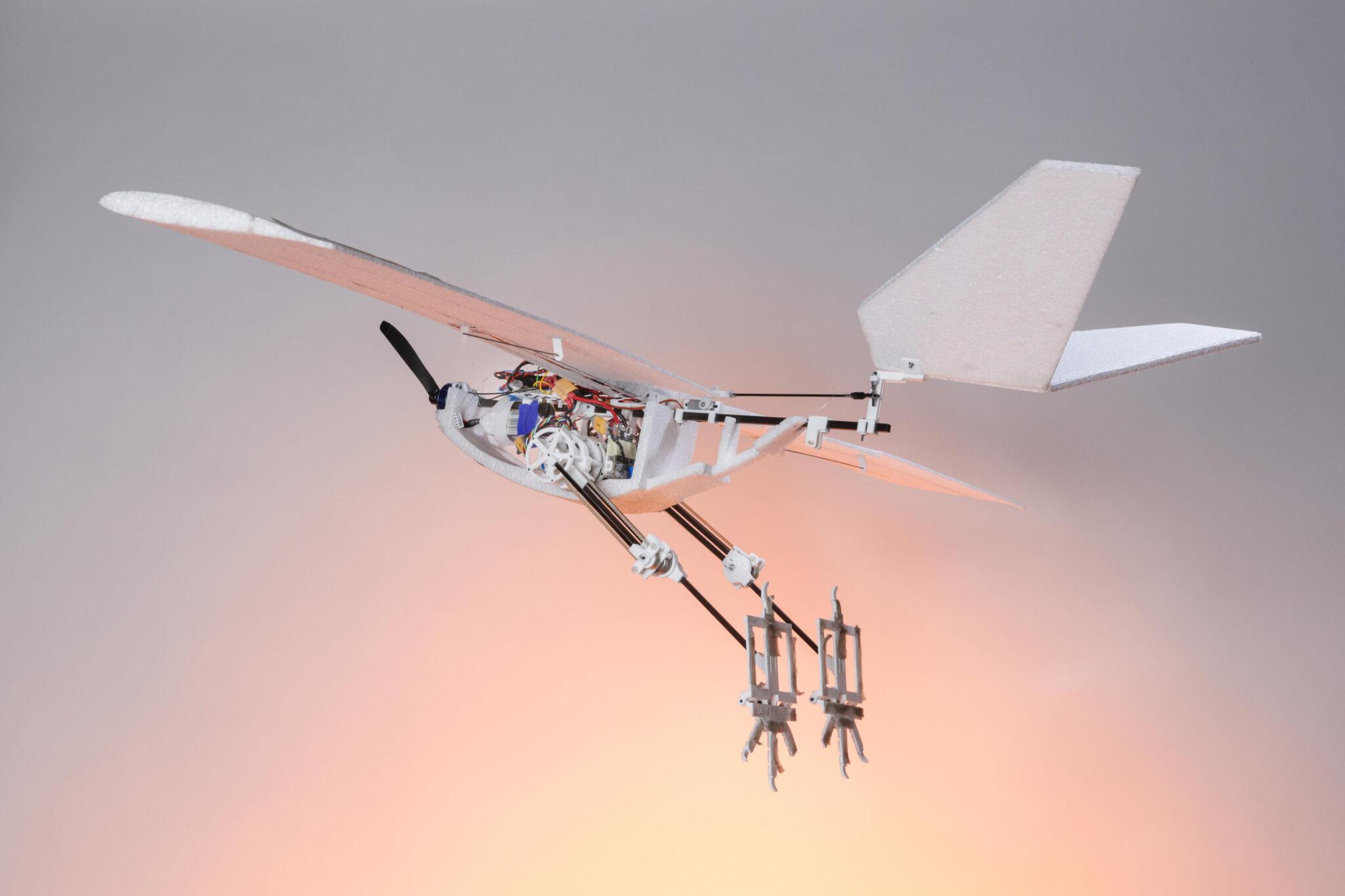 Photo d'un drone transparent à hélices, équipé de deux pattes rappelant celles d'un oiseau qui se prolongent derrière lui.