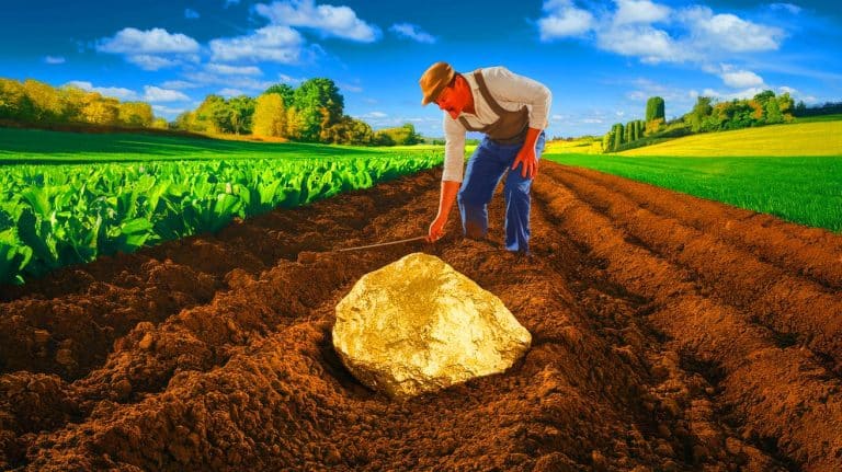 « Un trésor à 4 milliards d&rsquo;euros » : ce paysan français découvre une mine d&rsquo;or dans son jardin mais l&rsquo;État s&rsquo;en empare brutalement