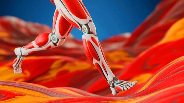 Des muscles artificiels pour des exploits inédits : cette jambe robotisée pourrait bouleverser la vie des amputés du monde entier