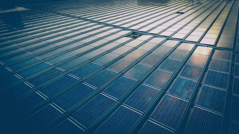 Cette astuce solaire déclenche la fureur des professionnels : « Ce tuto gratuit ruine nos affaires » et promet de chauffer votre piscine pour moins de 50 euros