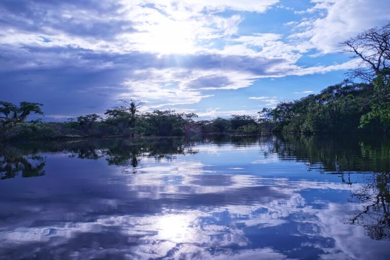 Des bateaux solaires en Amazonie : « Un désastre écologique déguisé en progrès », la technologie verte divise et soulève des questions cruciales sur l’avenir de la planète