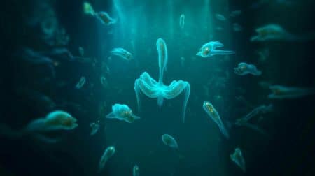 « Que font ces organismes à 9 450 m de profondeur ? » : les chercheurs chinois face à une énigme biologique abyssale Illustration de l'expédition sous-marine chinoise à 9 450 mètres de profondeur révélant des écosystèmes inconnus.